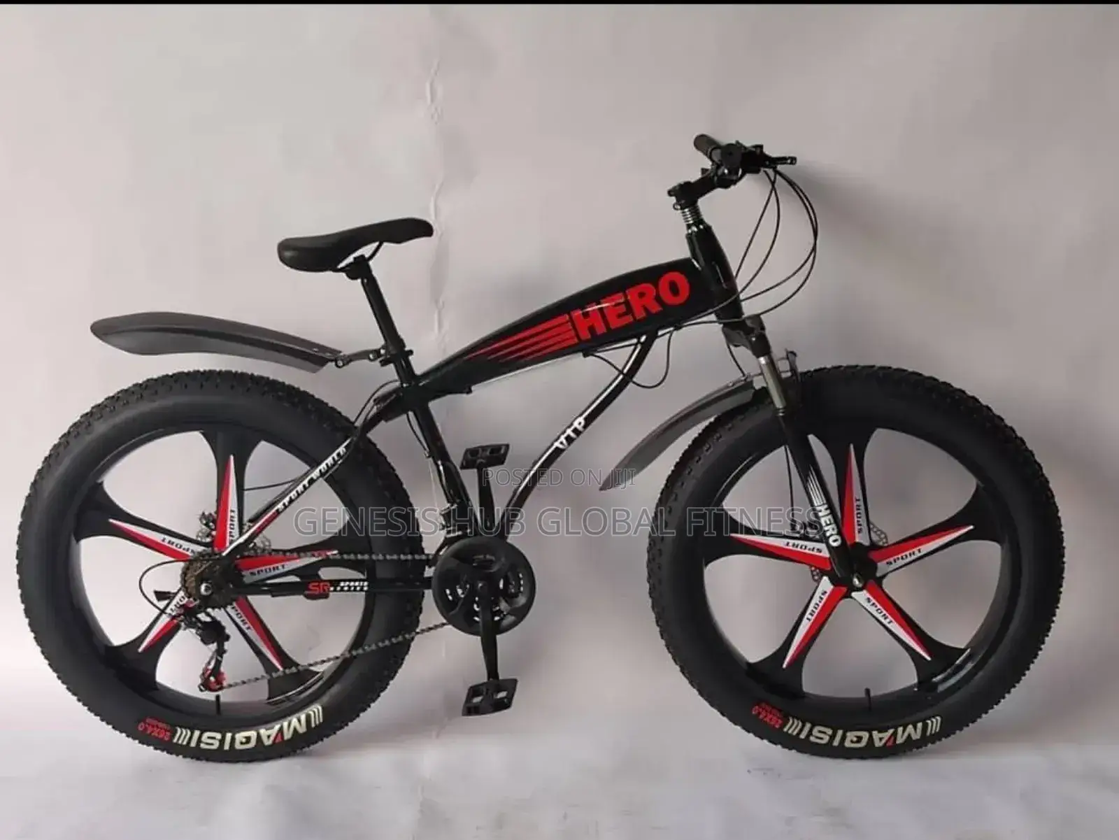 Fat Tyre Bicycle (Alloyed Rim) Hero290