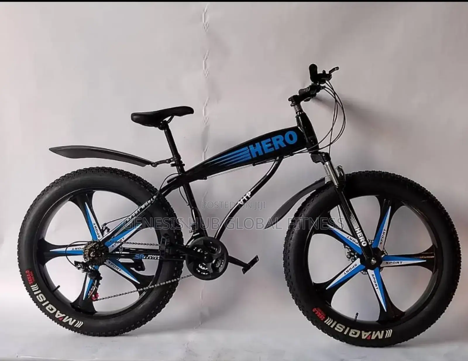 Fat Tyre Bicycle (Alloyed Rim) Hero290