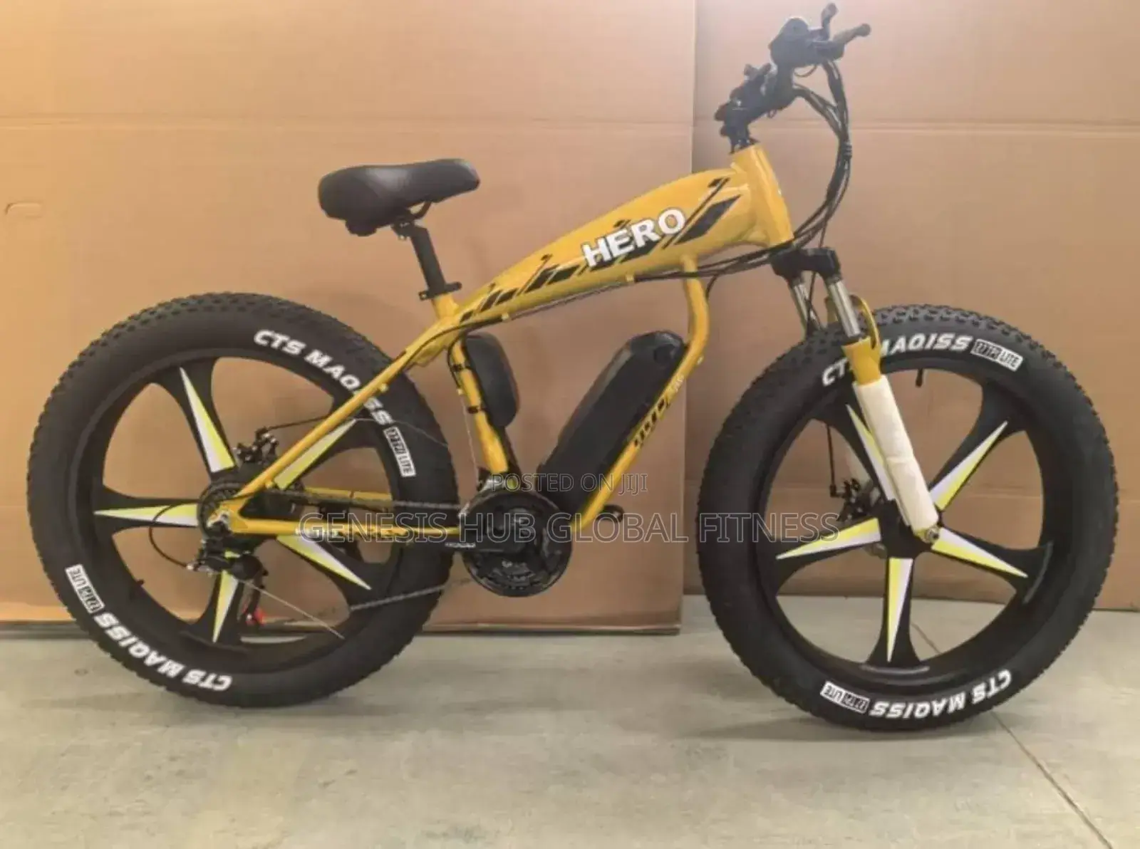 Fat Tyre Bicycle (Alloyed Rim) Hero290