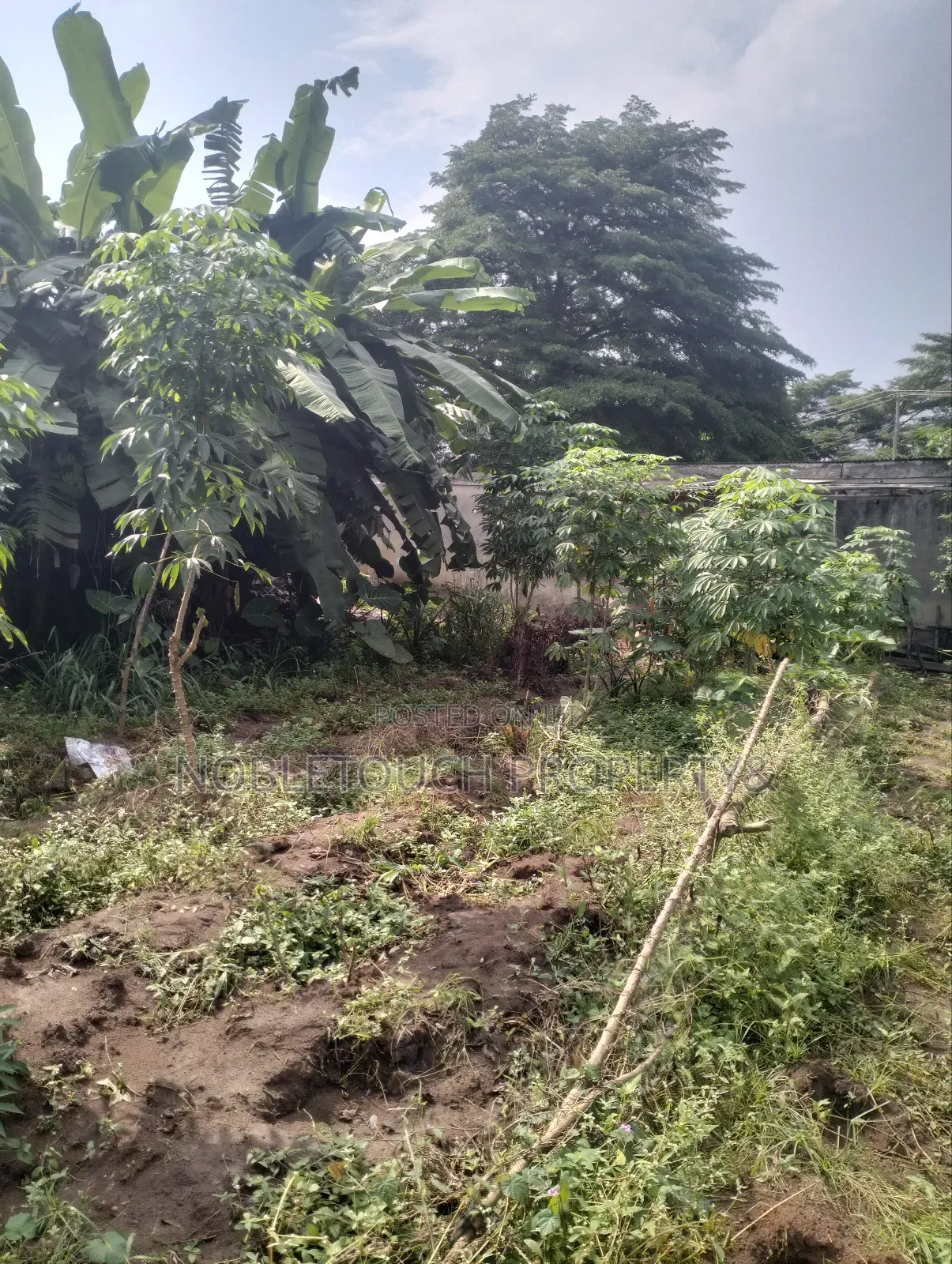 8 Half Plot of Land Along the Major Road With Enough Extension