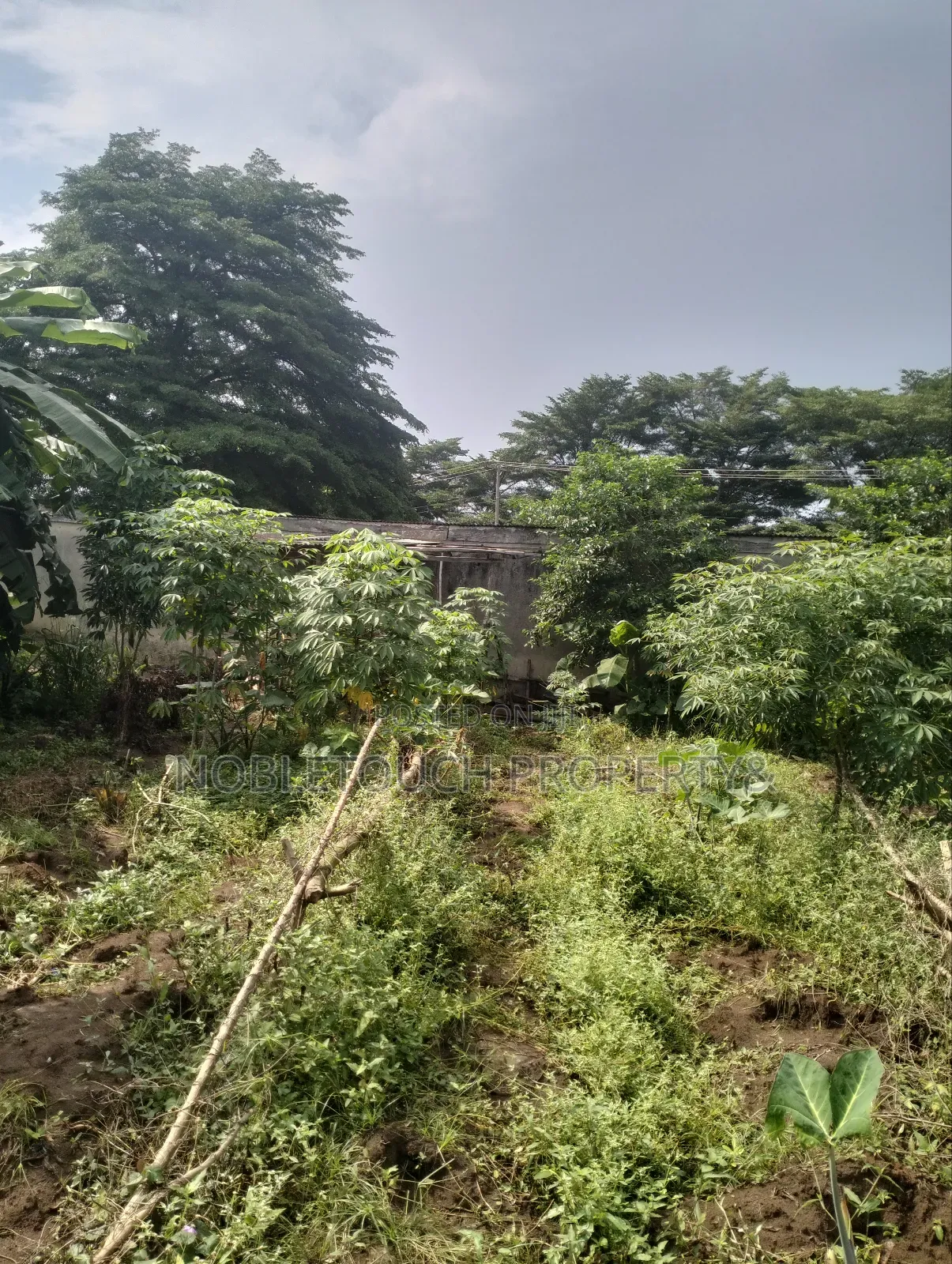 8 Half Plot of Land Along the Major Road With Enough Extension
