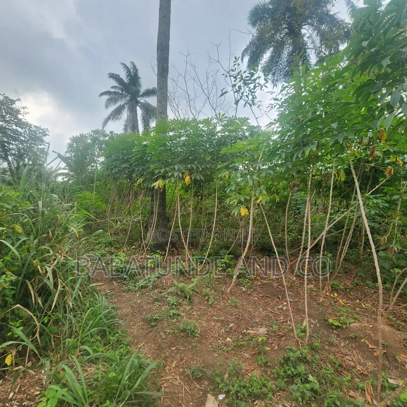 Acres of Farm Land at Olojo Vill. Mele, Off Moniya/Ijaye Road