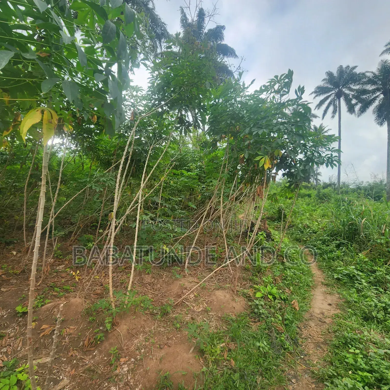 Acres of Farm Land at Olojo Vill. Mele, Off Moniya/Ijaye Road