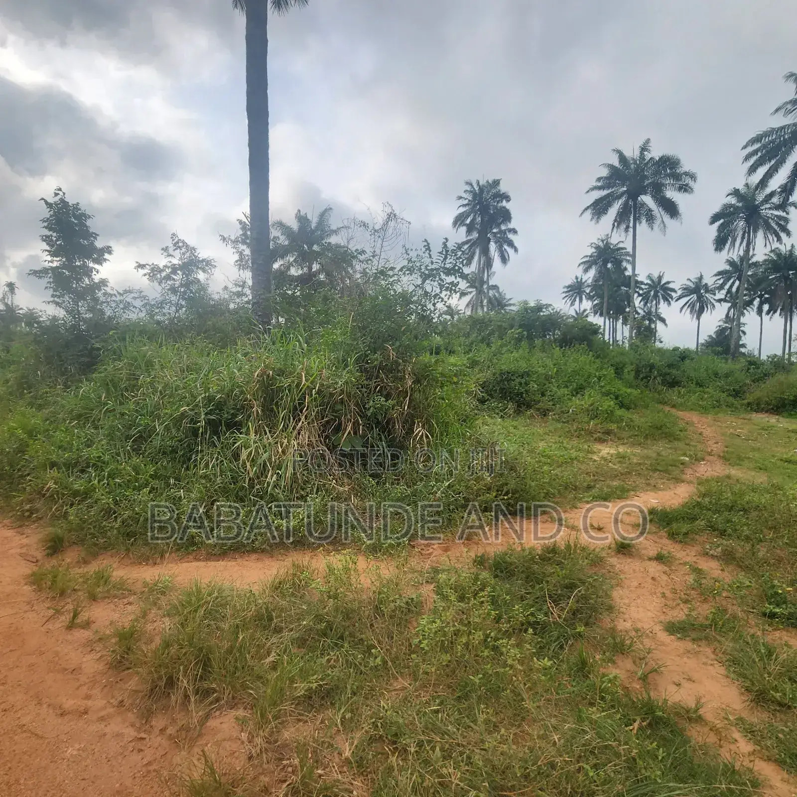 Acres of Farm Land at Olojo Vill. Mele, Off Moniya/Ijaye Road