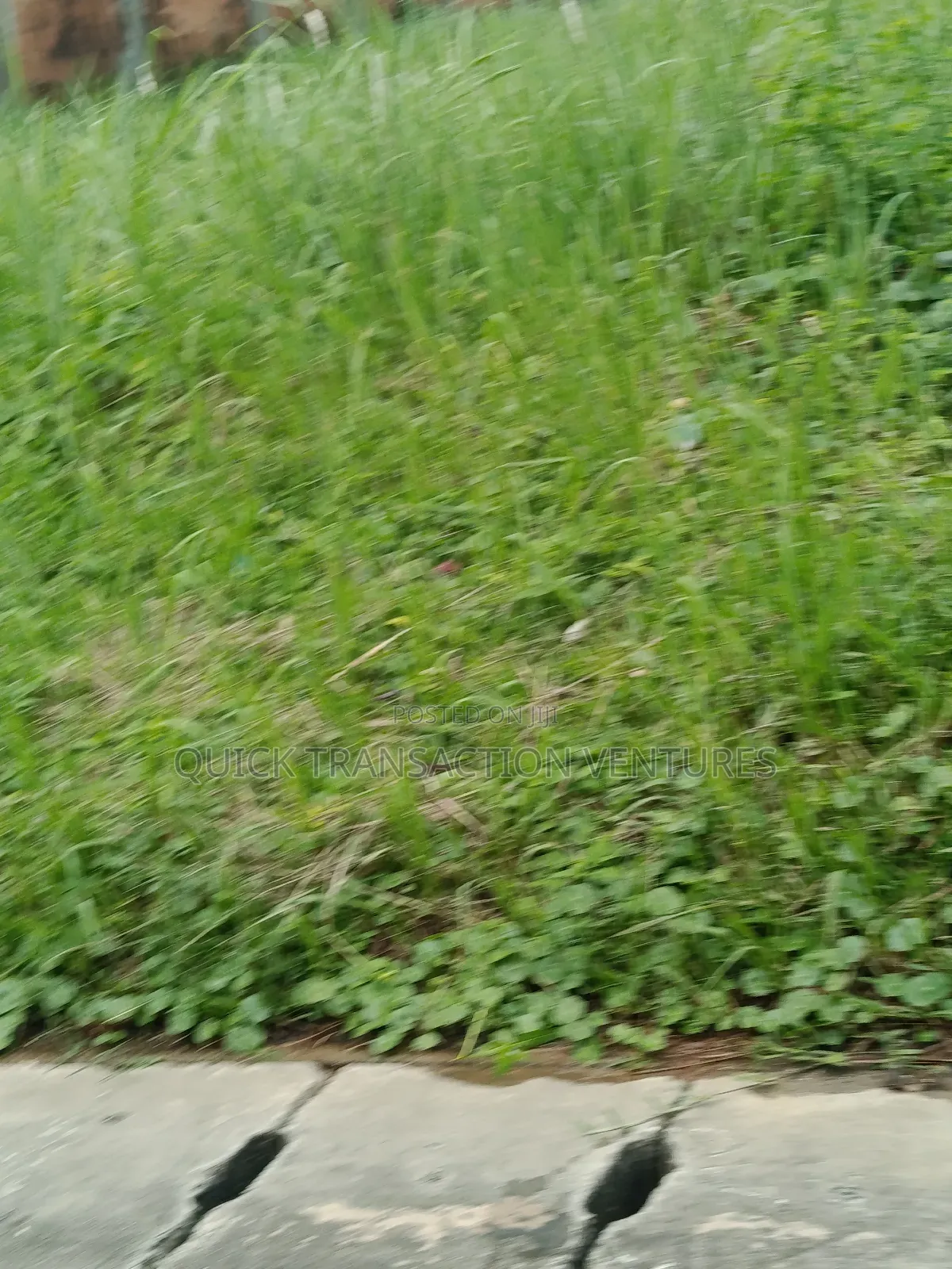 Full Plot Land in a Serviced Estate