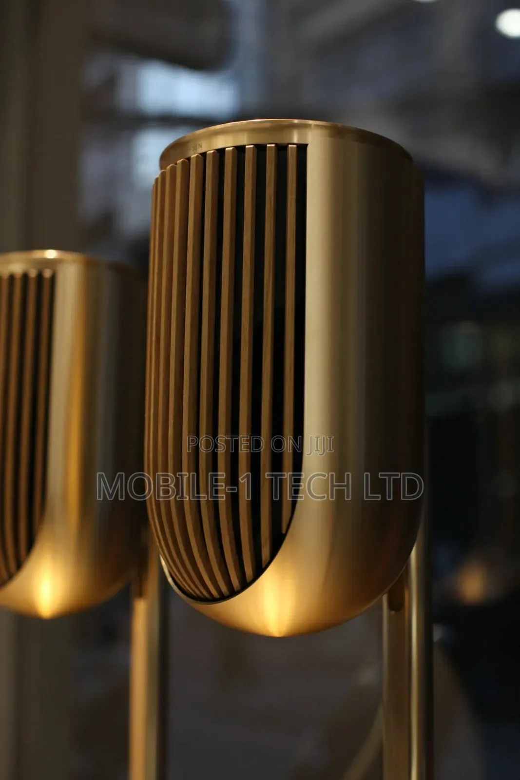 Bang and Olufsen Beolab 8 Ai Multi Room Luxury Speaker