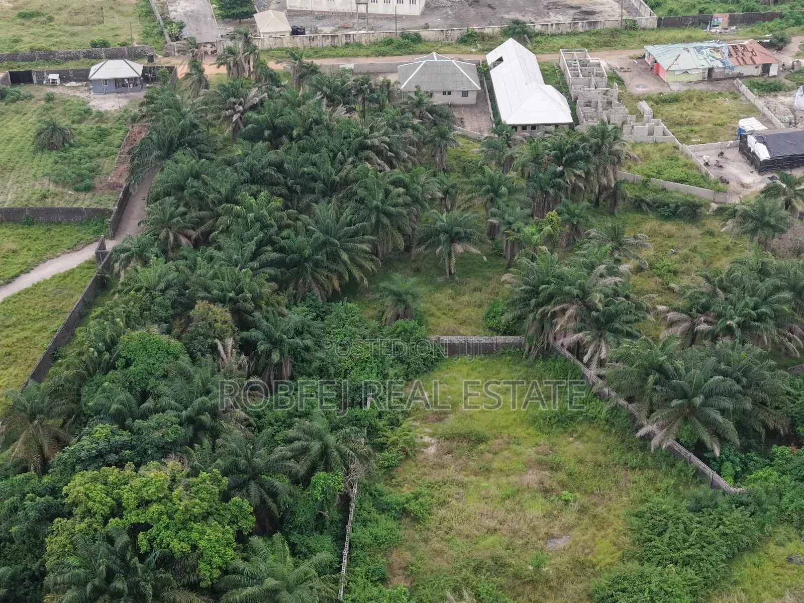 Cash on the Lekki Gold Mine!