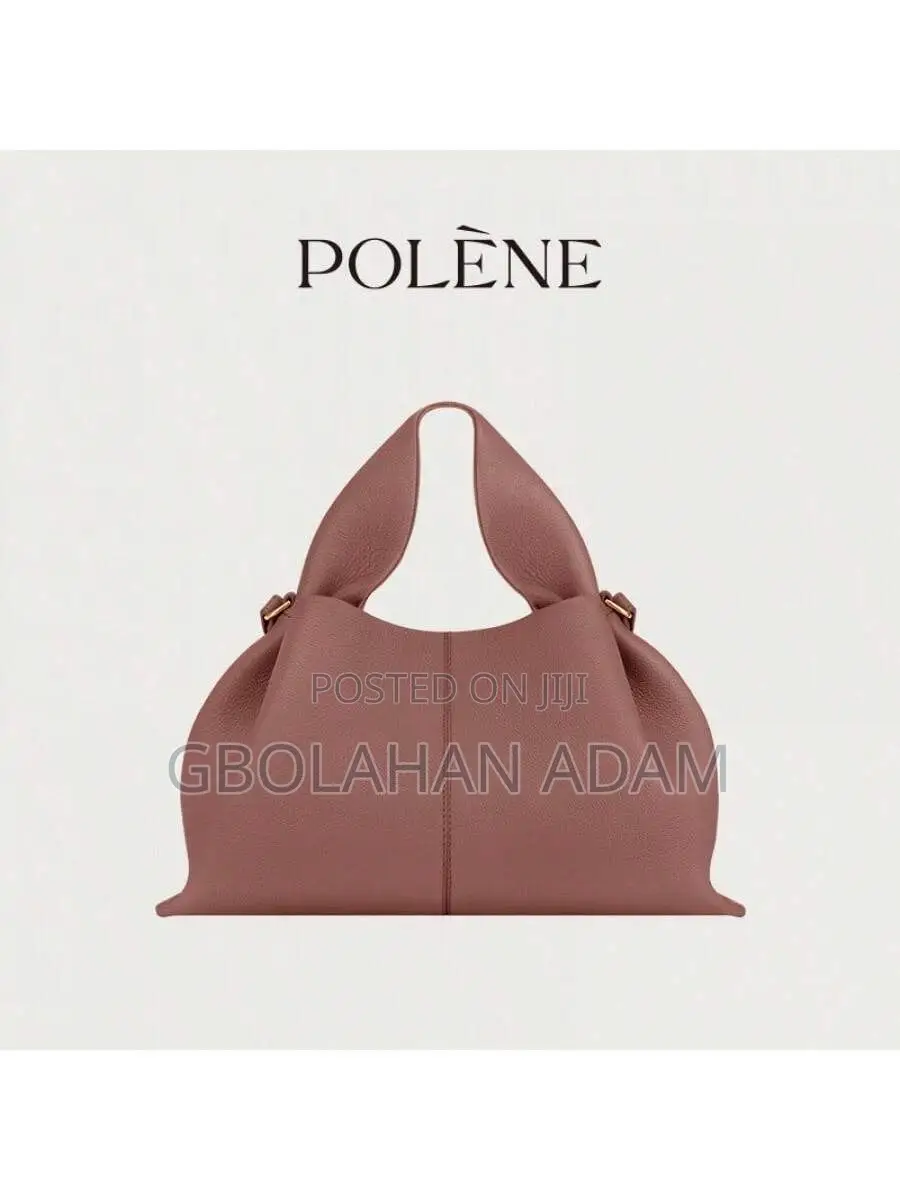 French Niche Polene Cloud Bag
