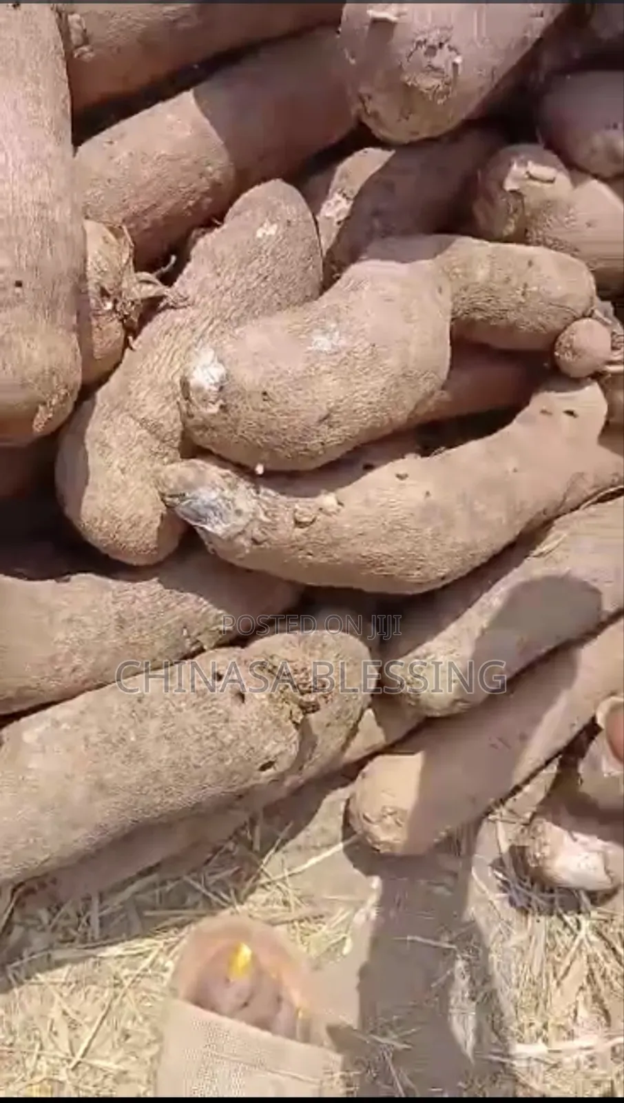 Small Sizes of Yam