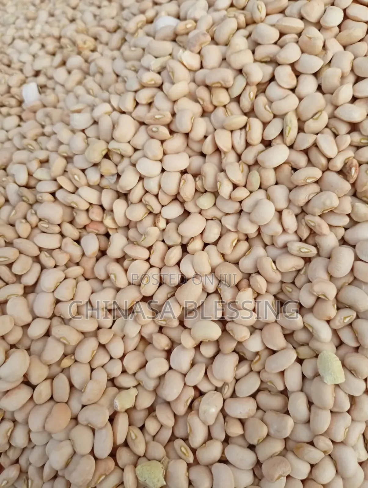 Bag of Butter Beans