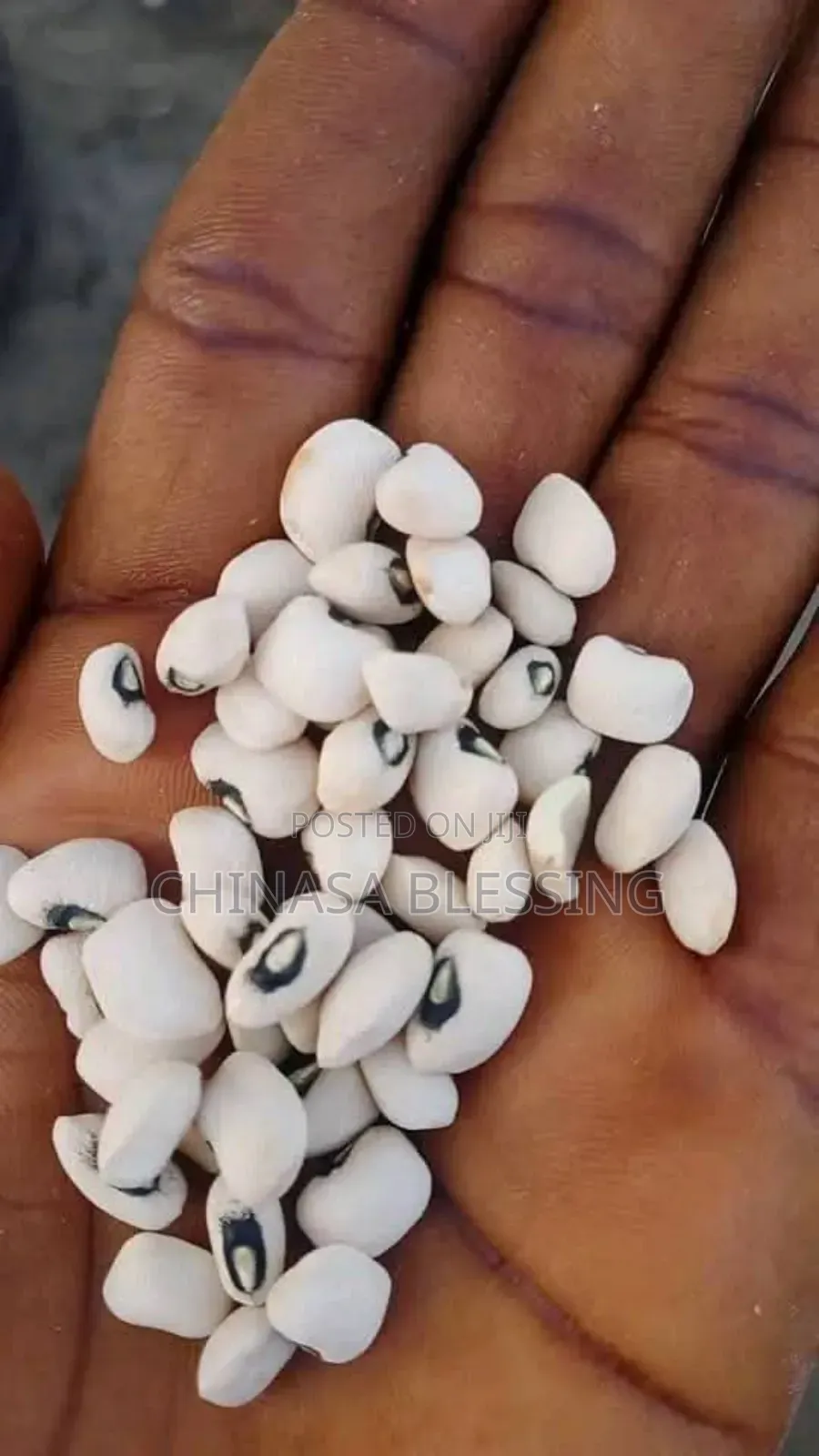 Bag of Iron Beans
