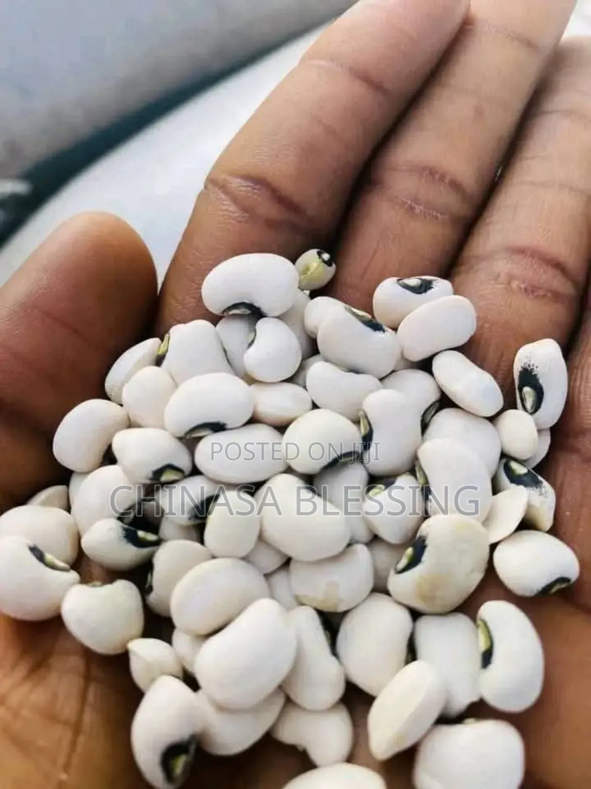 Bag of Iron Beans