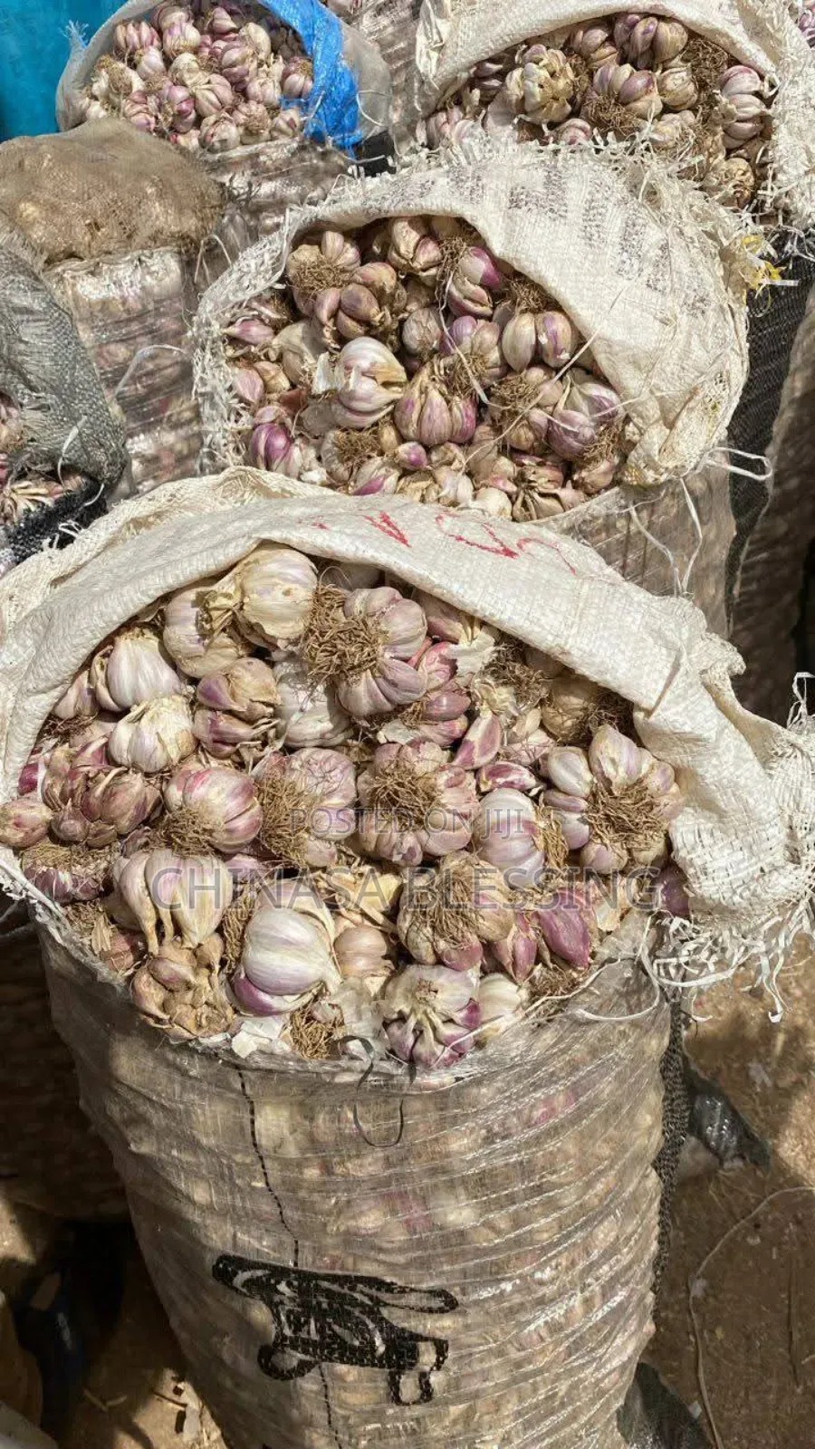 Bag of Garlic