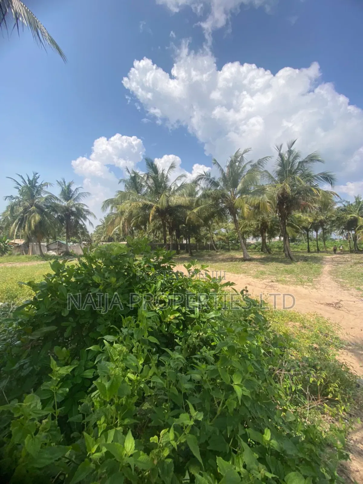 Beachfront Land for Sale at Lekki Free Trade Zone