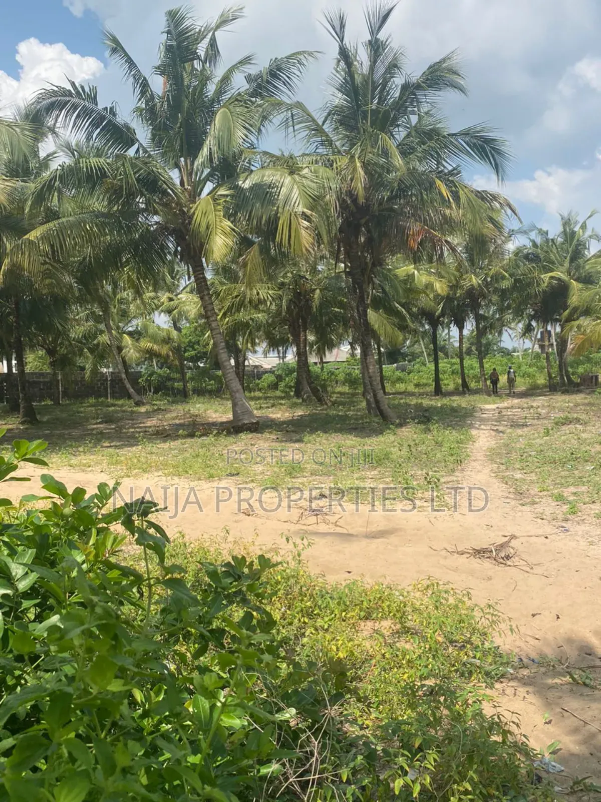 Beachfront Land for Sale at Lekki Free Trade Zone
