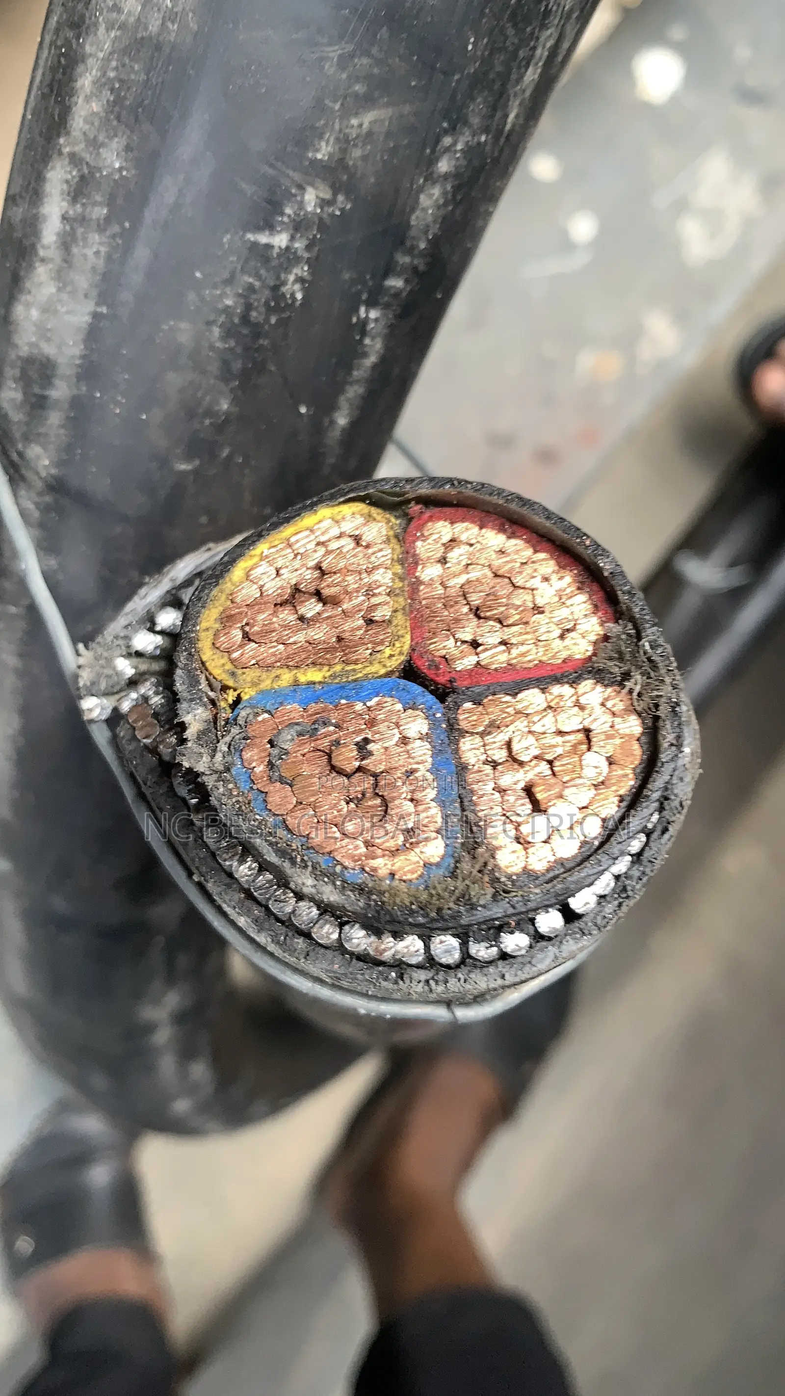 4core X 120mm Armored Cable Coleman