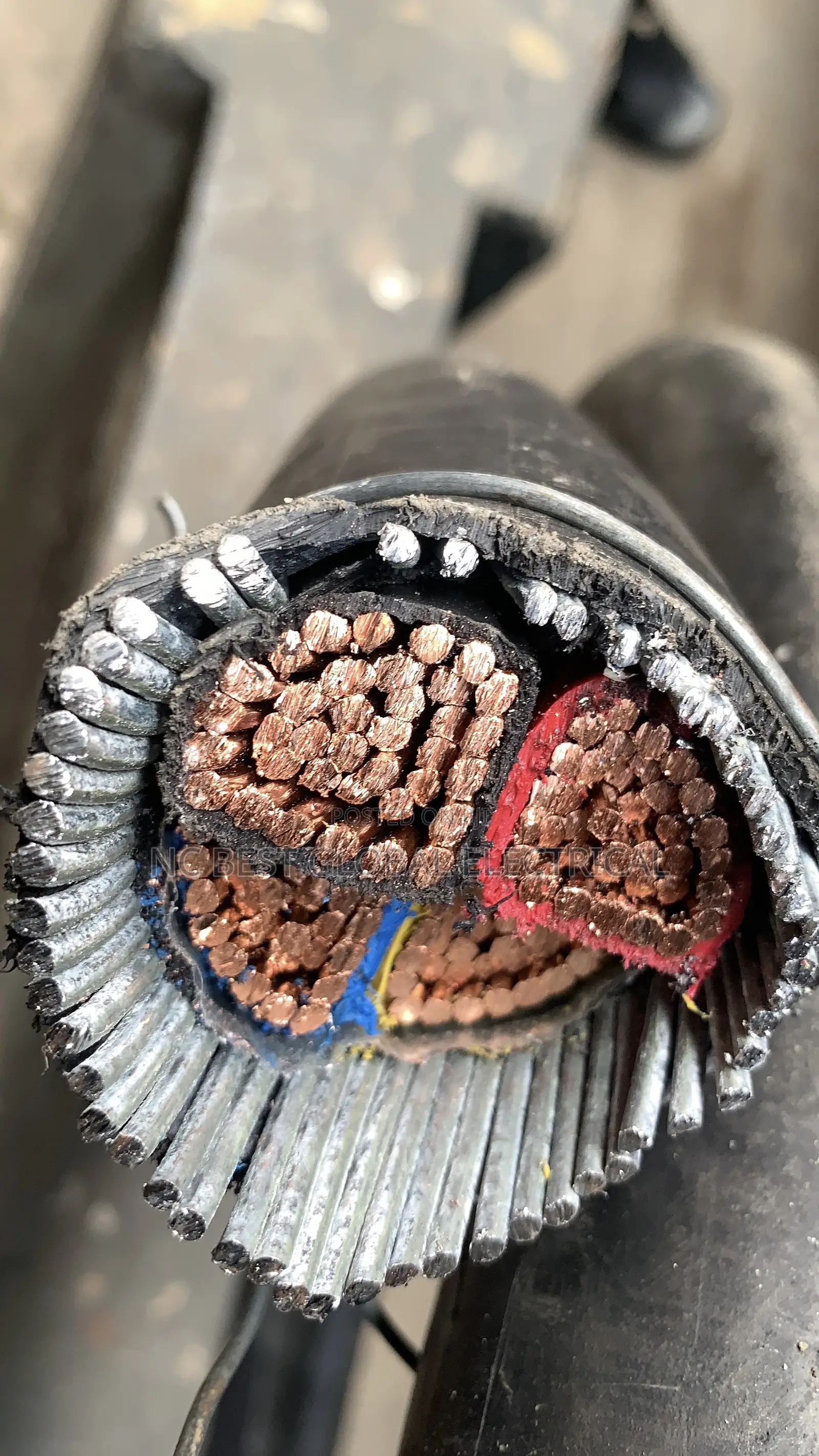 4core X 150mm Armored Cable Coleman