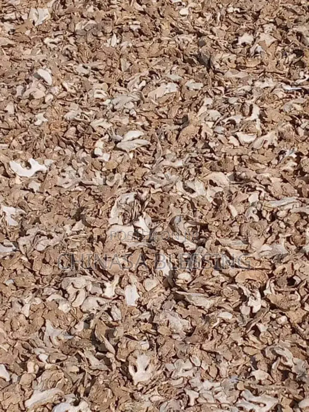 Dry Ginger