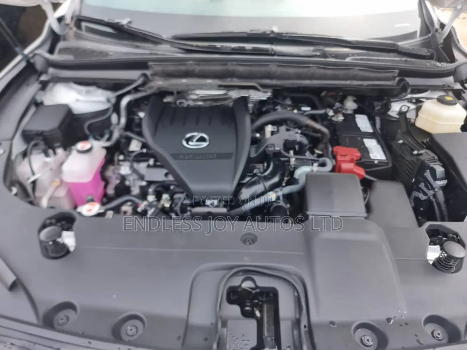Lexus RX 350 Premium AWD 2024 White