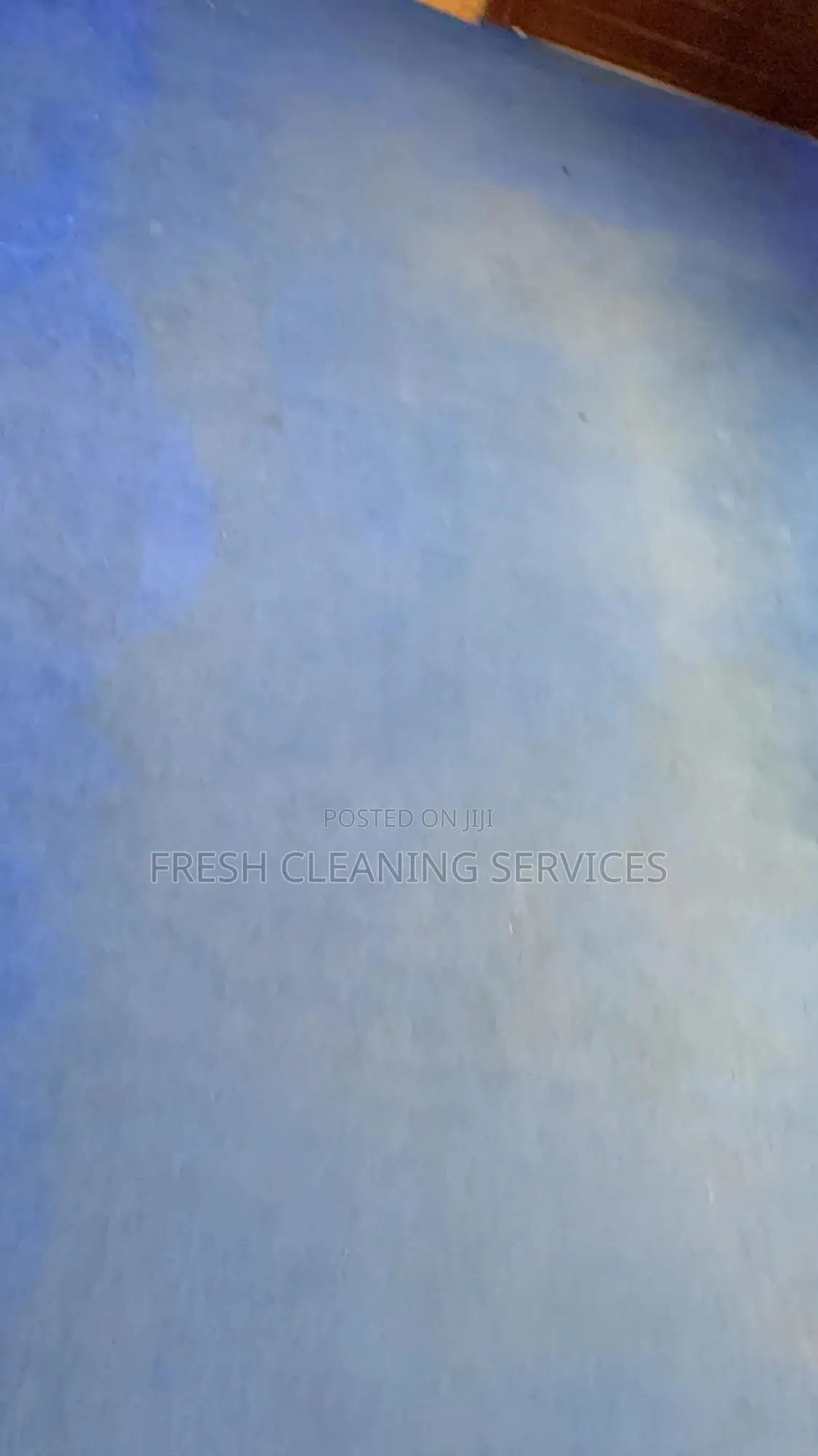 Revive Your Upholstery With Our Professional Cleaning Technique
