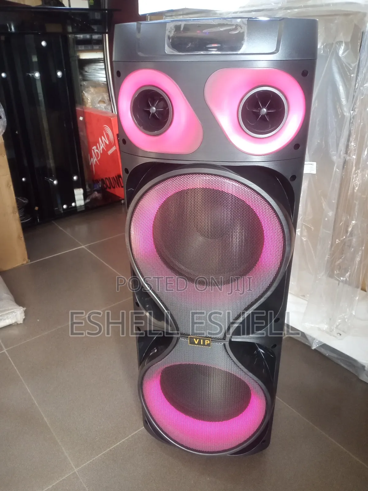 Vip Party Speaker/ Pa System With 2 Wireless Microphone