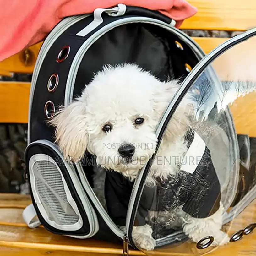 Transparent Space Capsule Dog Cat Backpack – Breathable Pet Travel Bag
