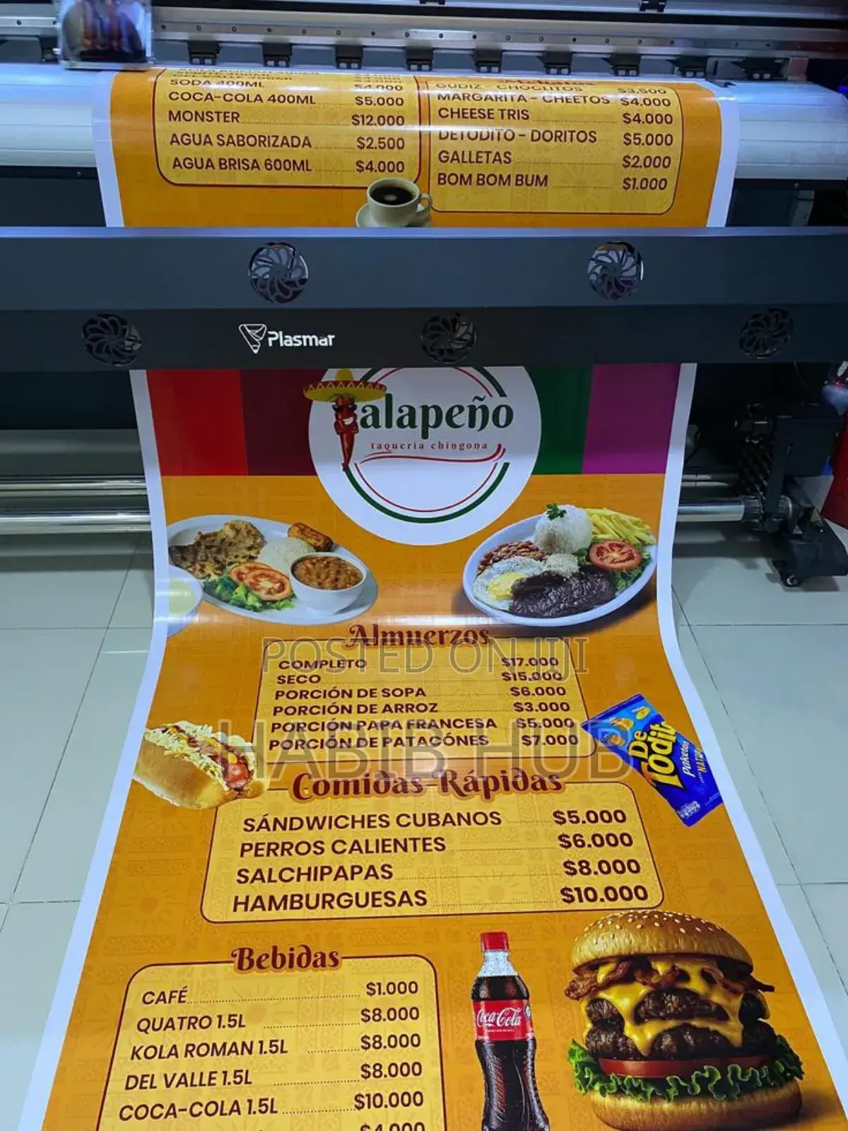 Flex/Roll Banner Print