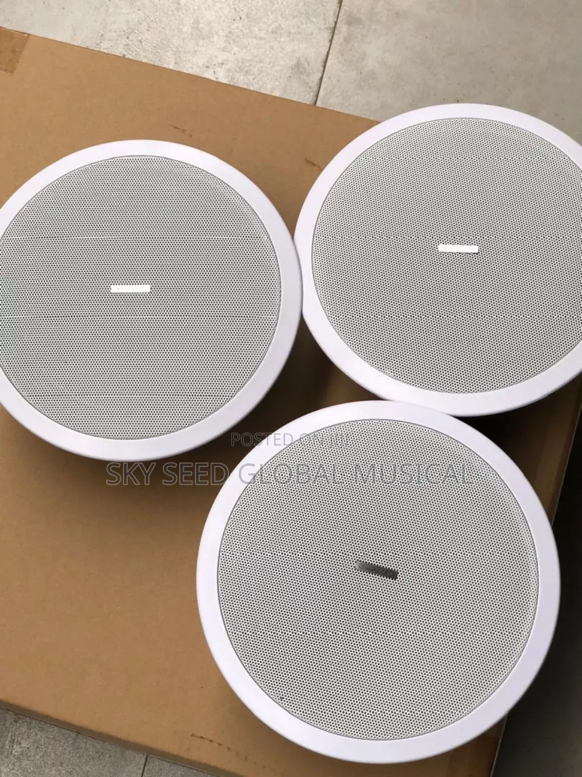 Original 80watts Lucky Tone Ceilings Speaker