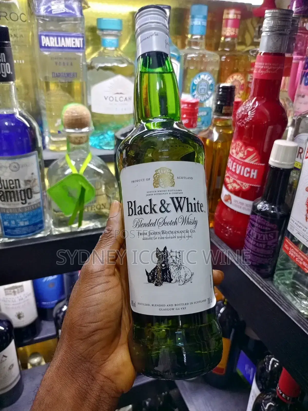 Black and White Scotch Whiskey(Ctn of 12 Bottles)