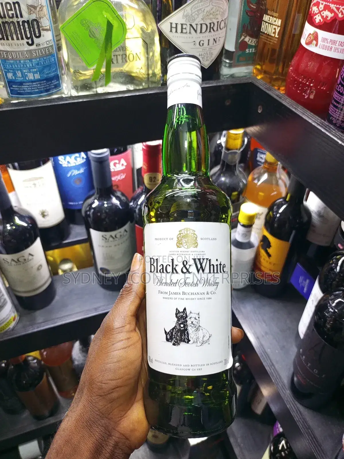 Black and White Scotch Whiskey(Ctn of 12 Bottles)