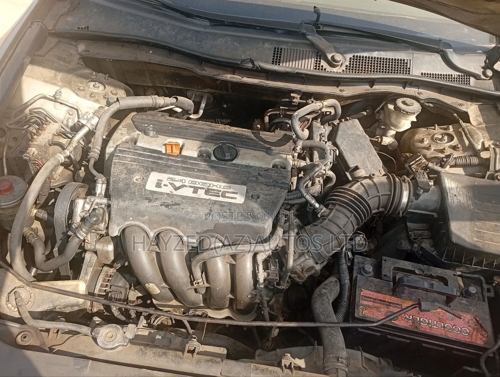 Honda Accord Sedan EX Automatic 2011 Green