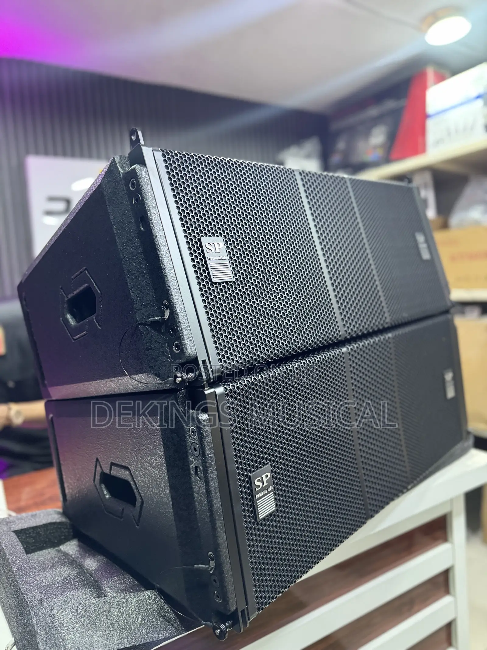 Sound Prince Pro210pr Line Array System Professional Speaker