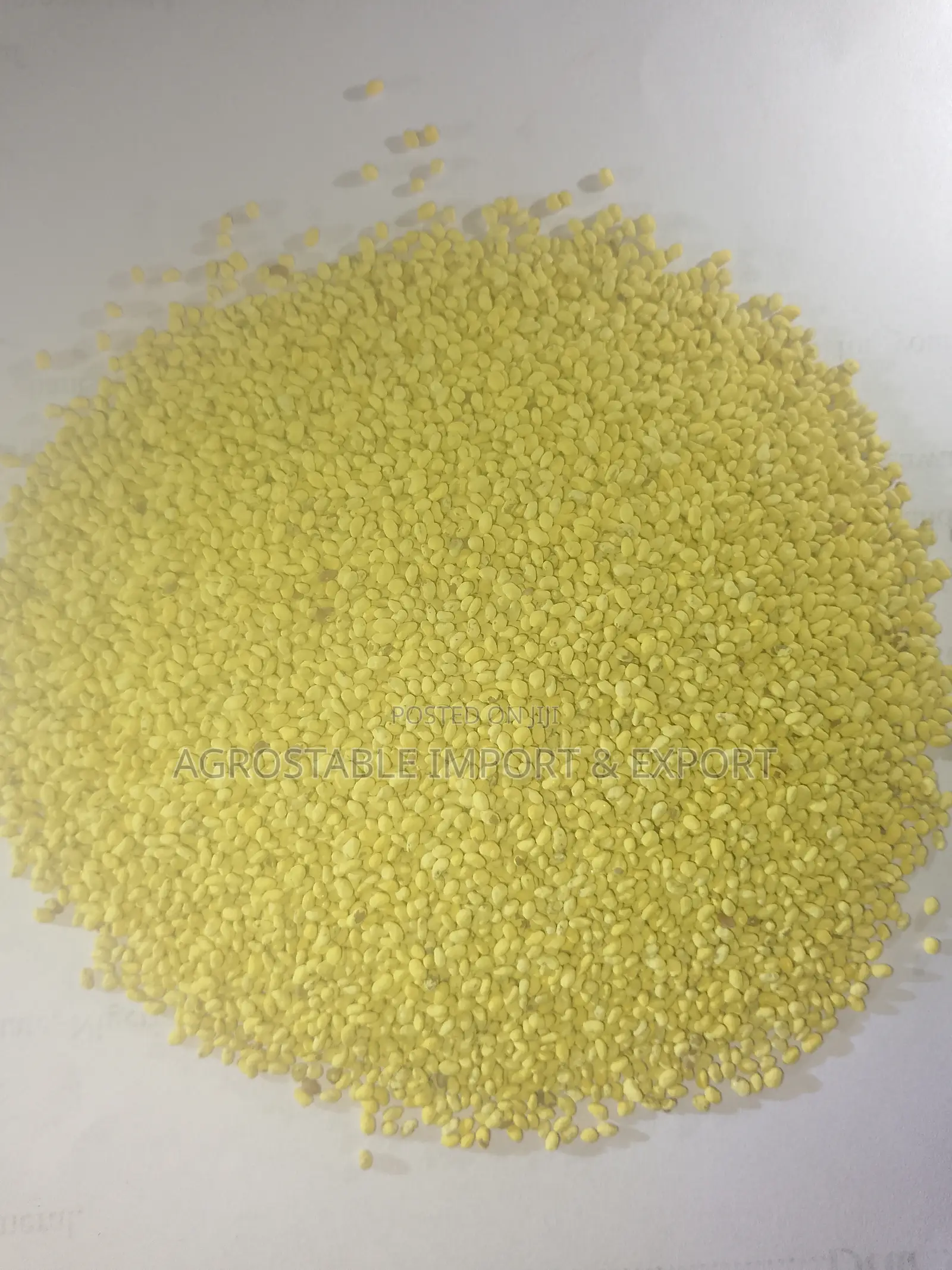 Alfalfa Grass Seed 100g Pack