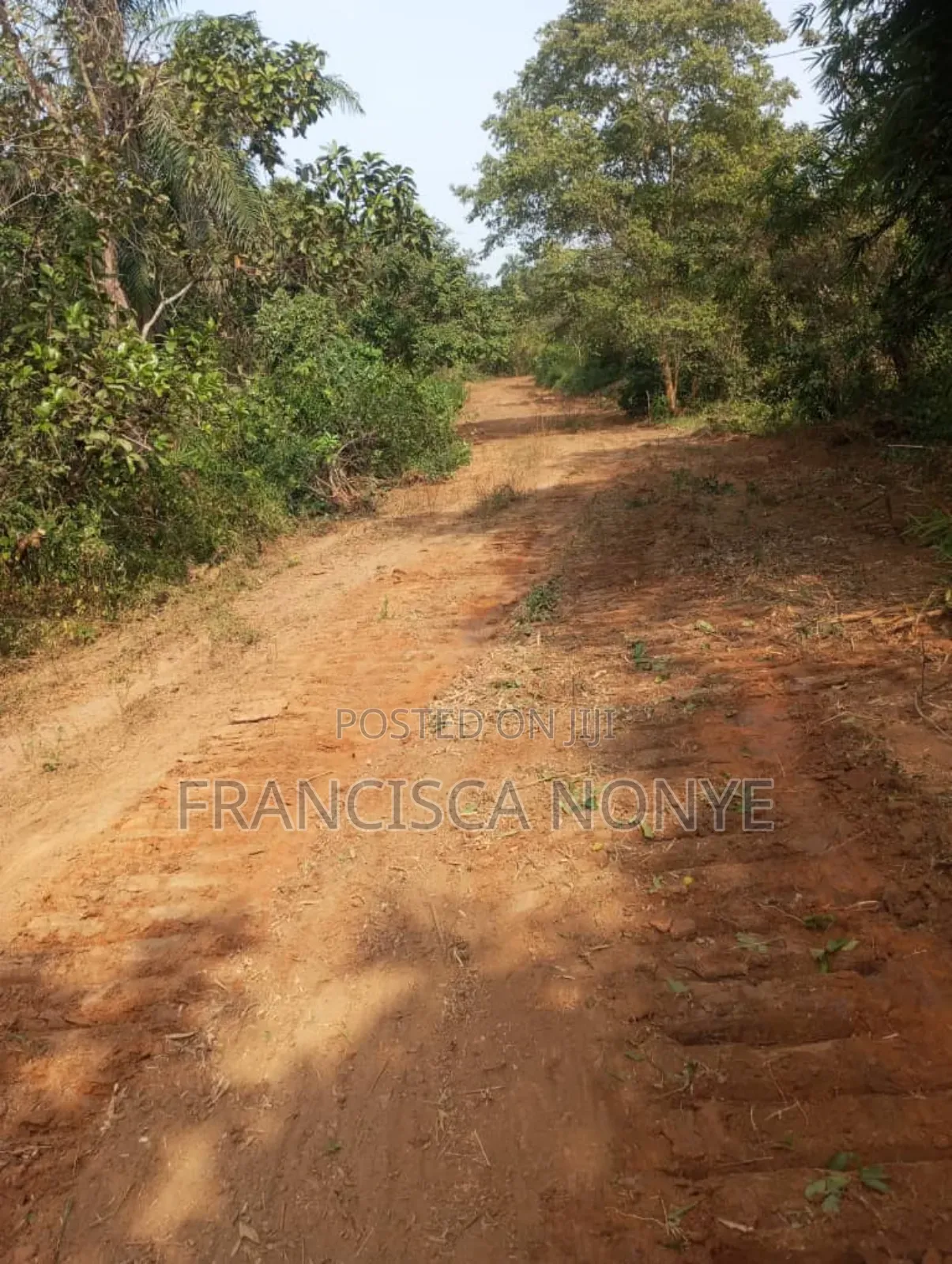 Genuine Plots of Land for Sale