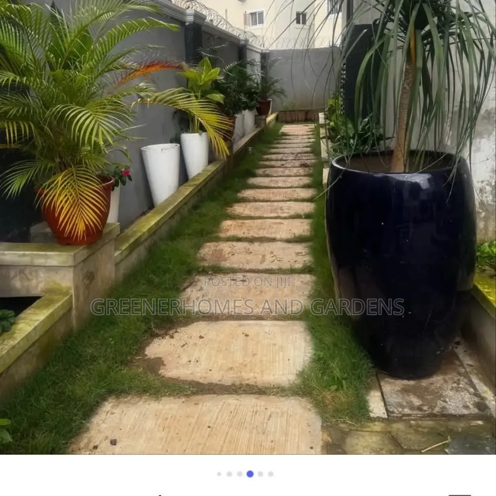 Outdoor Plant Beautification