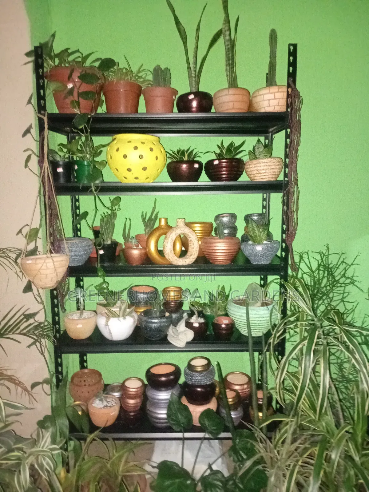 Mini Clay Pots