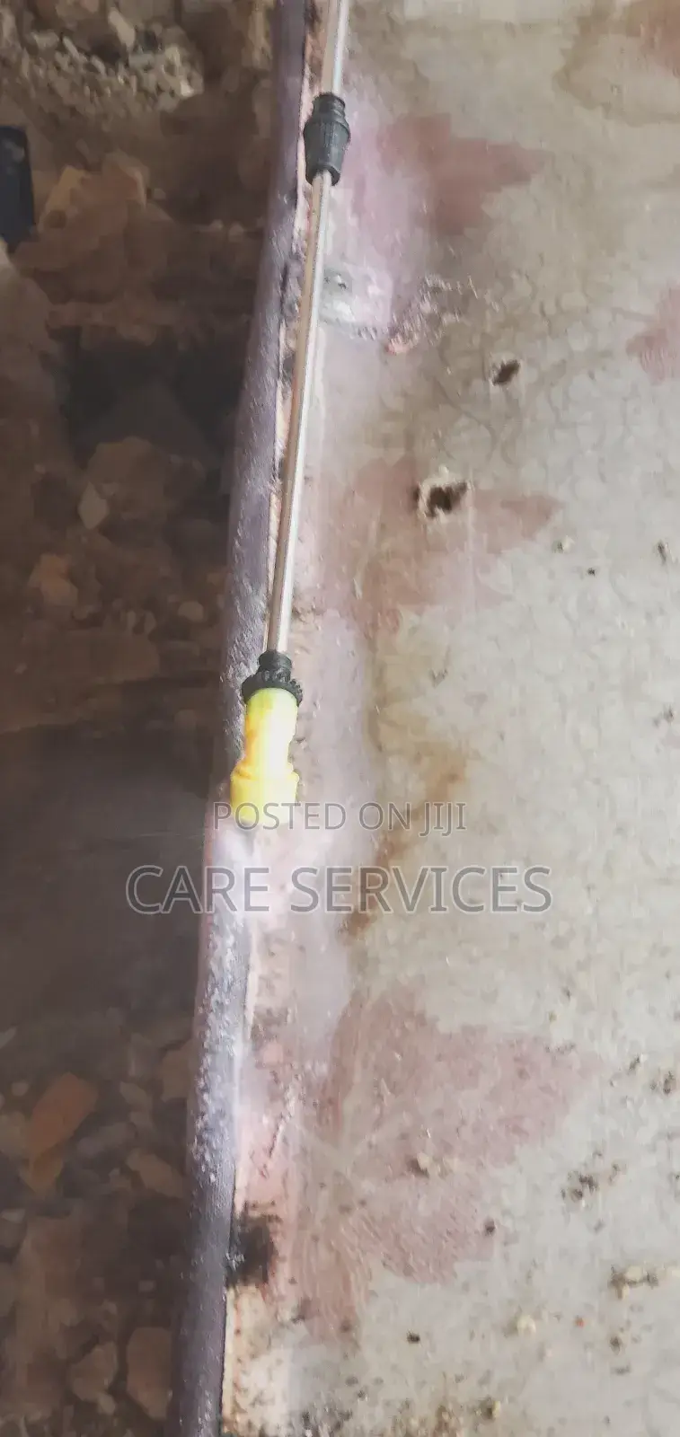 Reliable Bedbug Removal/Pest Control You Can Trust