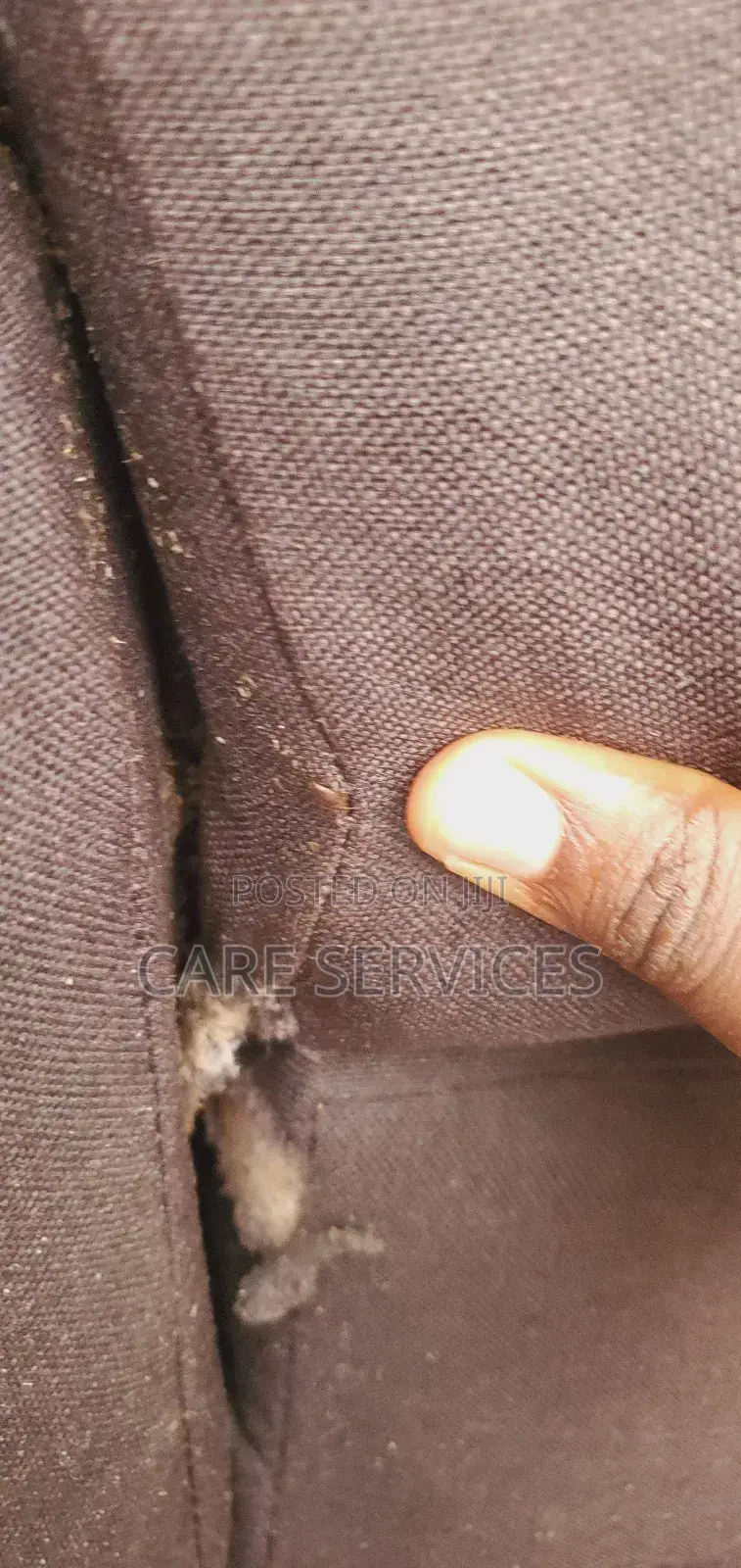 Complete Bedbug Removal Service in Lagos