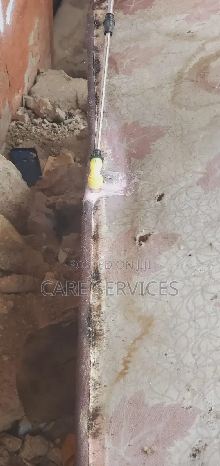 Complete Bedbug Removal Service in Lagos