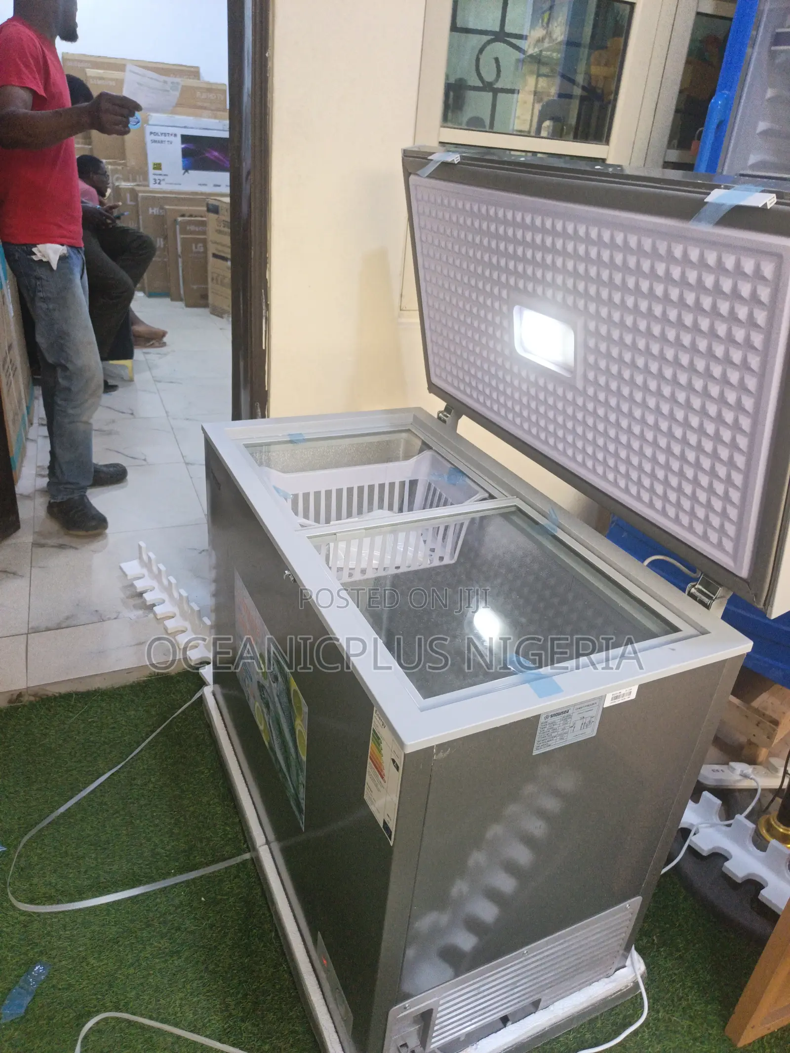 Snowsea Bd-308g Freezer for Home or Shop (220l)