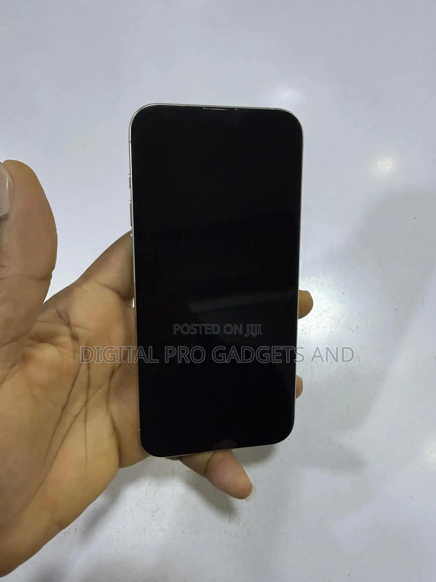 Apple iPhone 15 Pro Max 256 GB Silver
