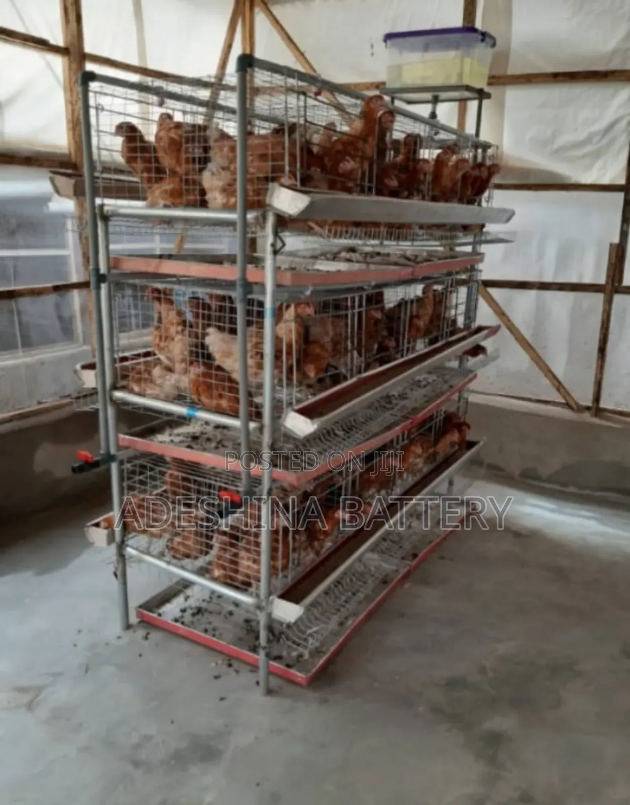 New Delivery Cages and Is Remain