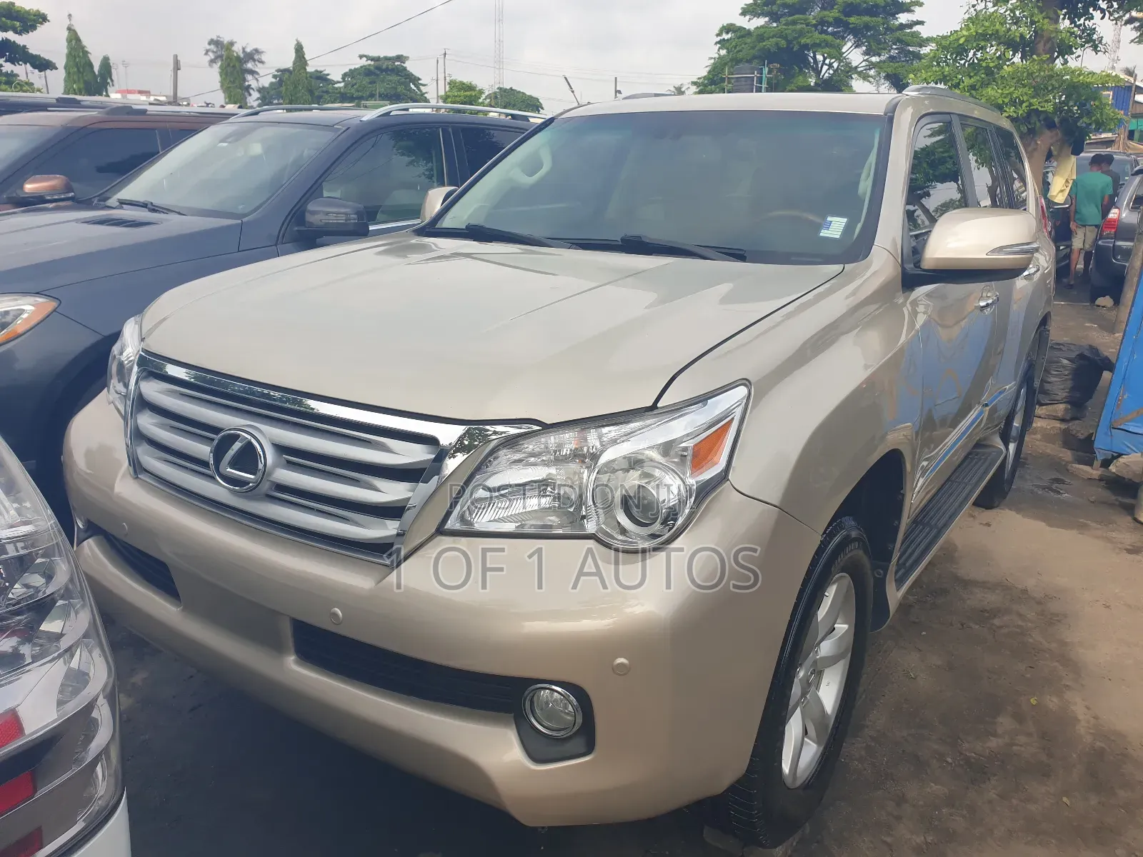 Lexus GX 460 Premium 2012 Gold