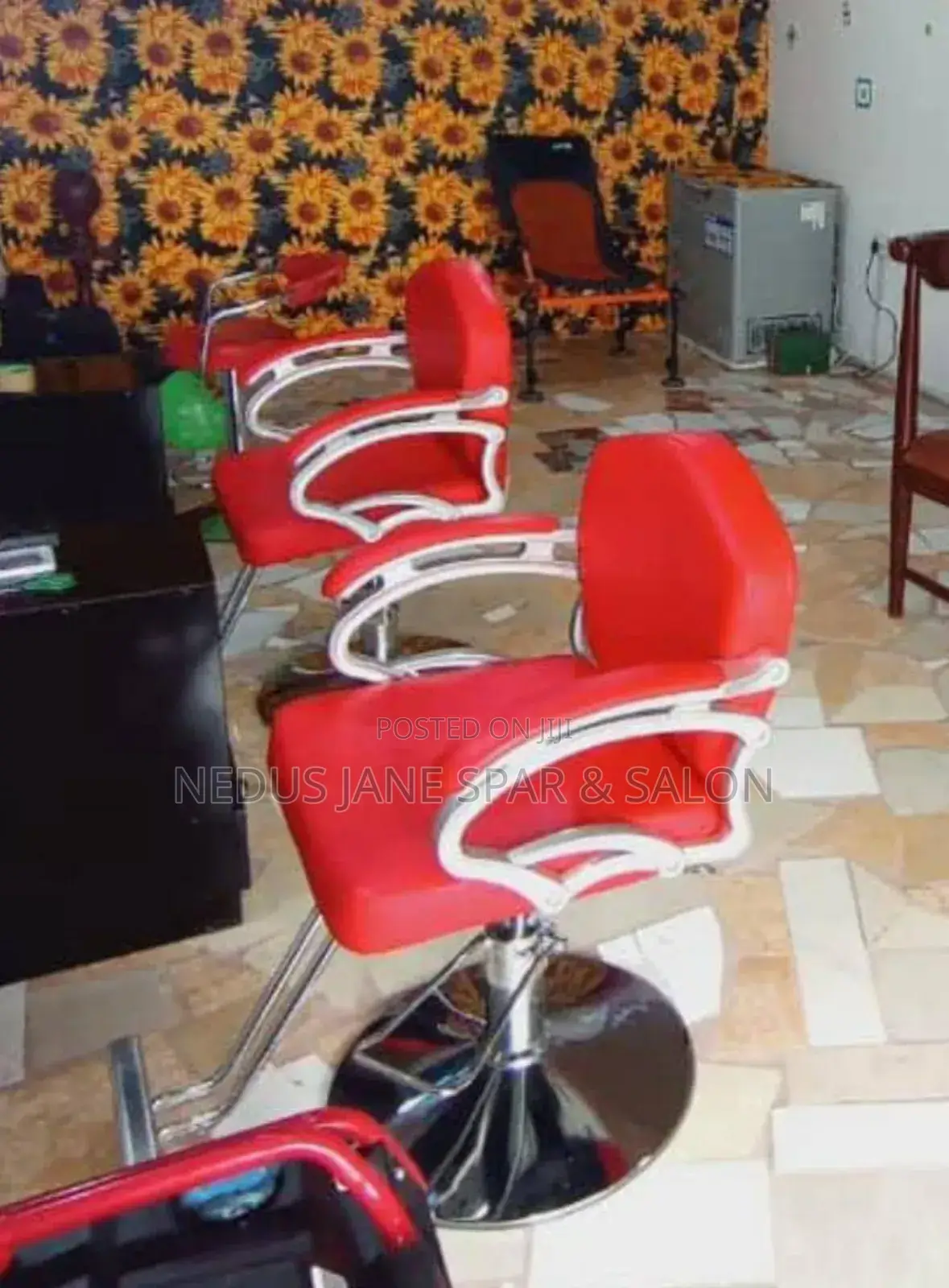 Salon Chair Standard
