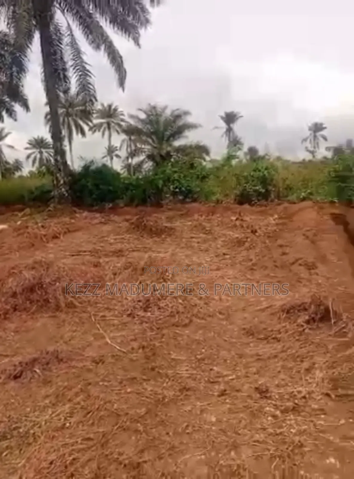 For Sale : 1.6 Hectares Near Uniuyo Teaching Hospital, Uyo
