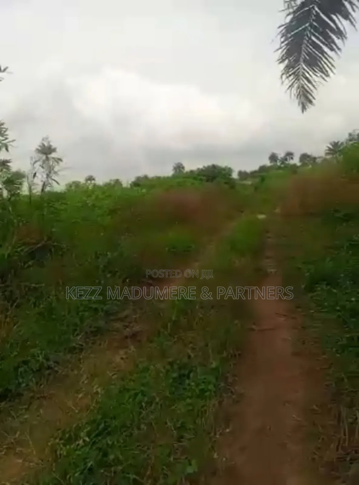For Sale : 1.6 Hectares Near Uniuyo Teaching Hospital, Uyo