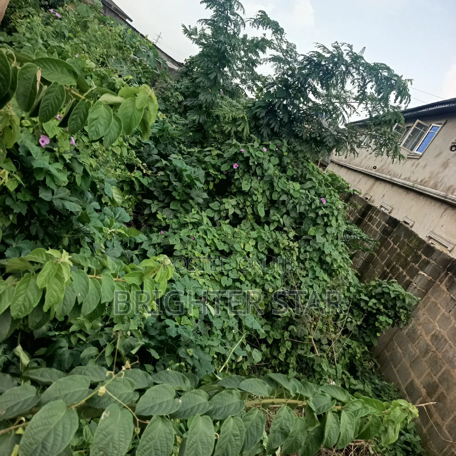 Half Plot of Land at Megida B/Stop