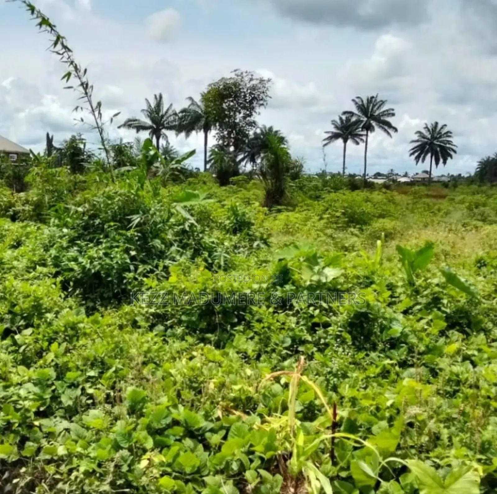 For Sale : 10.6 Hectares Near Ibom Specialist Hospital, at Itam 2
