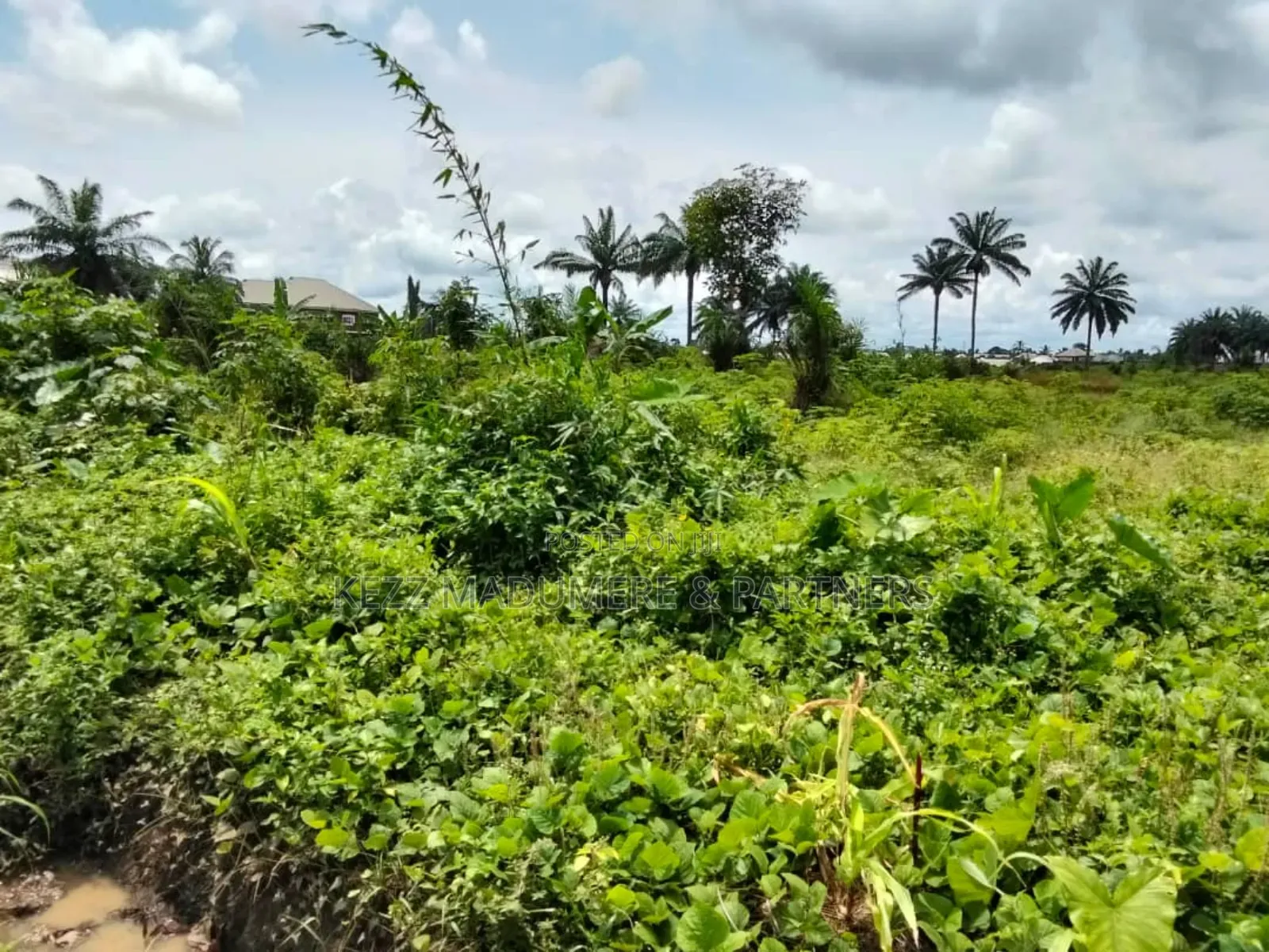 For Sale : 10.6 Hectares Near Ibom Specialist Hospital, at Itam 2
