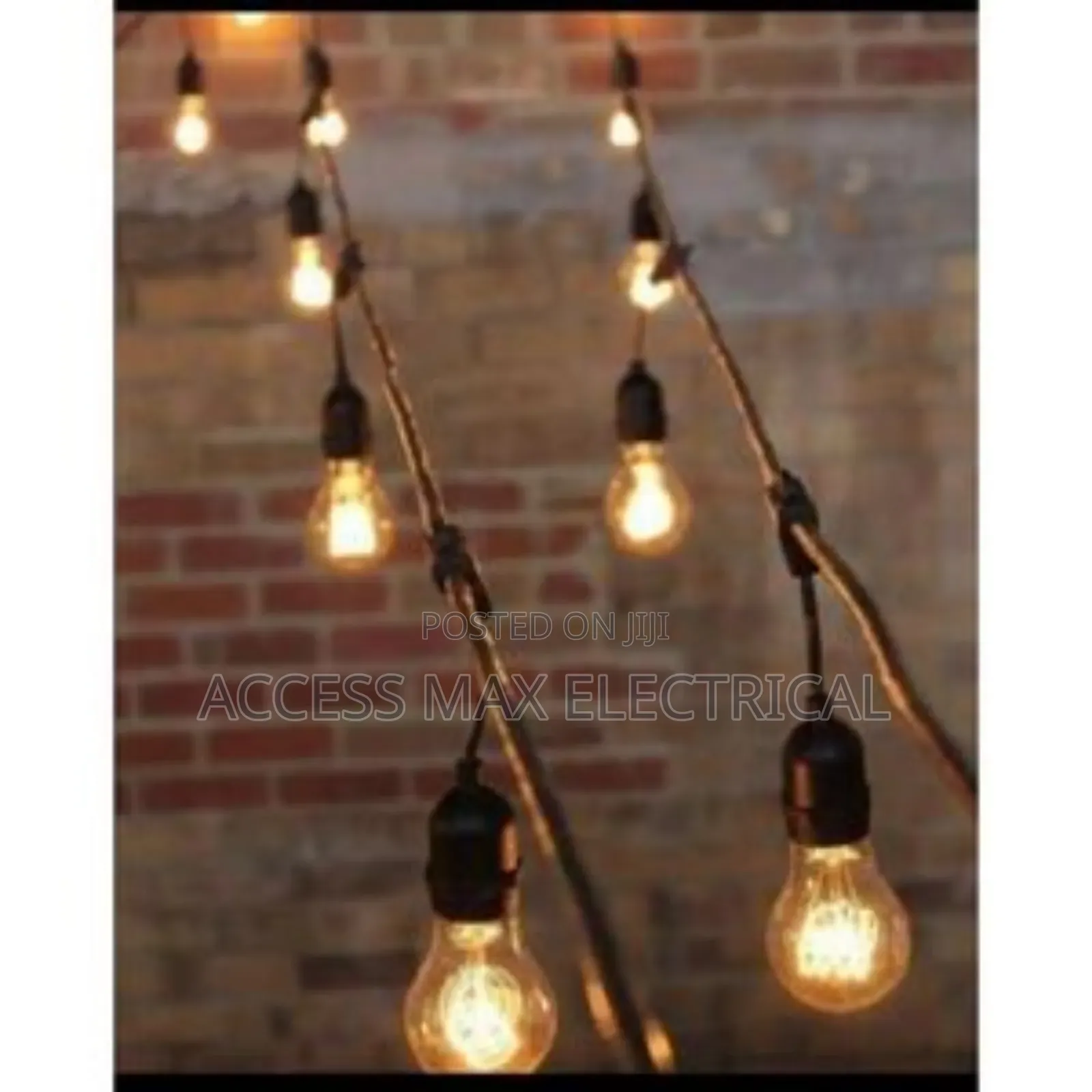 Outdoor Black Rop Light 40 Bulb